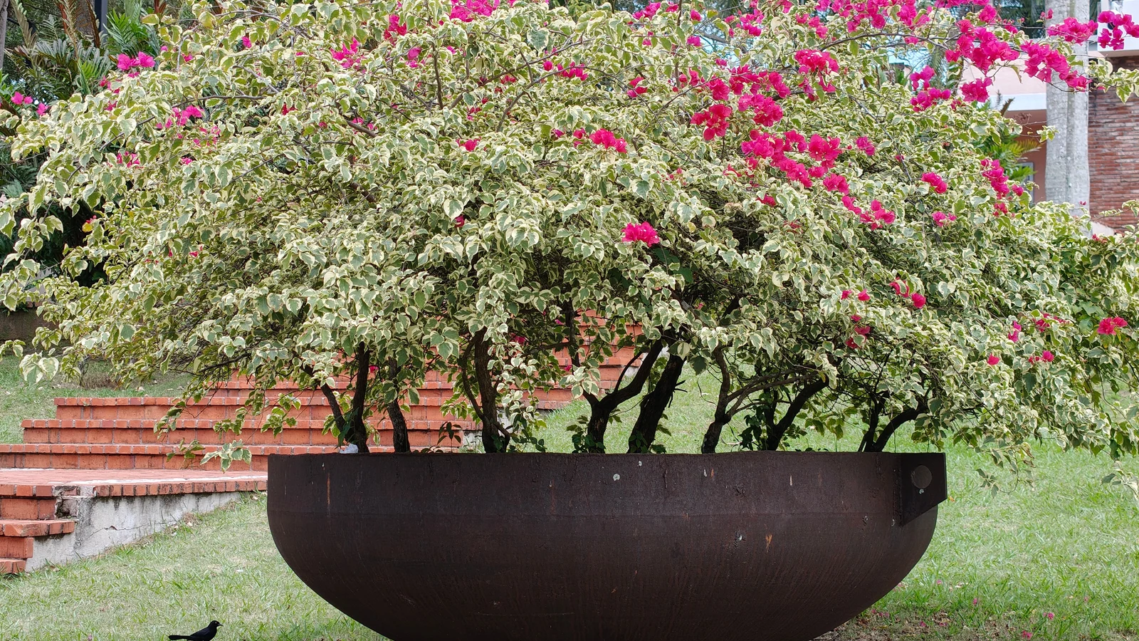 Neighbourhood park in Uruli Devachi, Pune