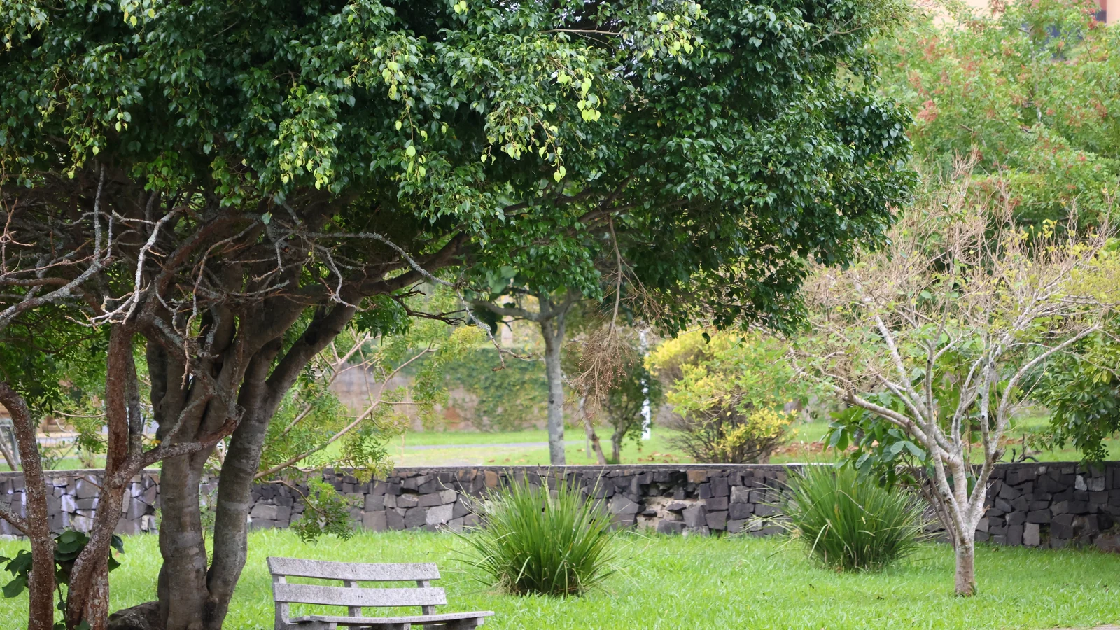 Neighbourhood park in Warje, Pune