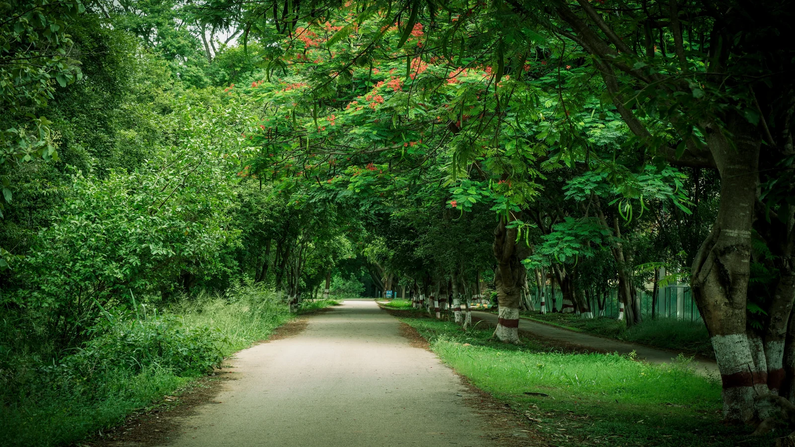 Neighbourhood park in Manohar Pura, Rajkot