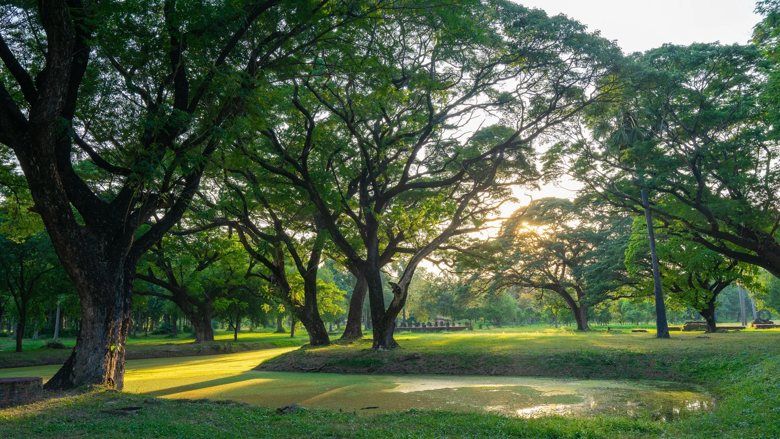 Neighbourhood park in Ram Nagar, Rajkot
