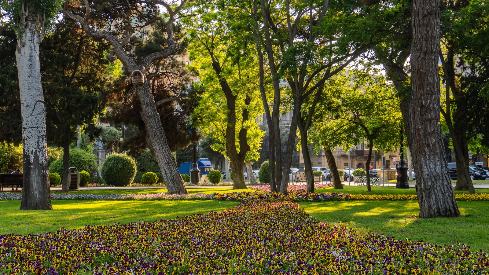 Neighbourhood park in Ranchod Nagar, Rajkot