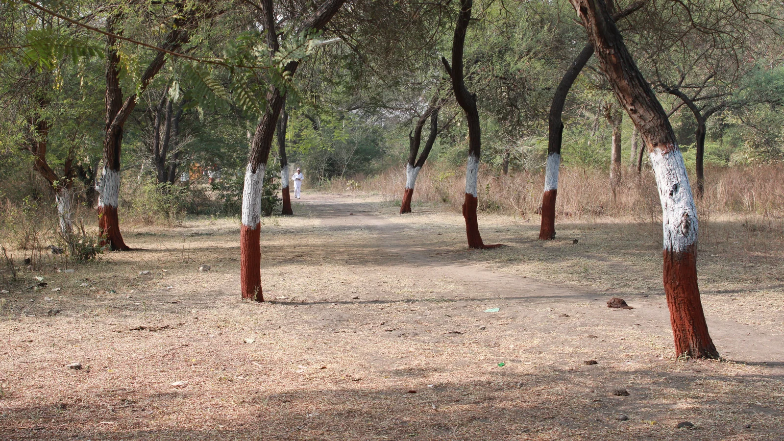 Neighbourhood park in Shivaji Nagar, Rajkot