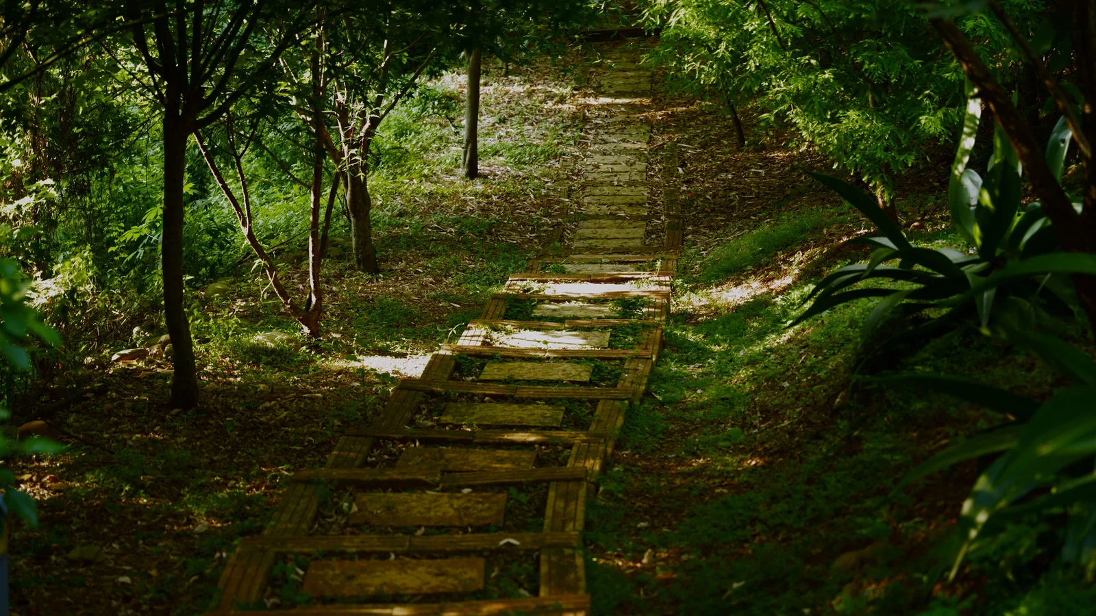 Neighbourhood park in Kokar, Ranchi