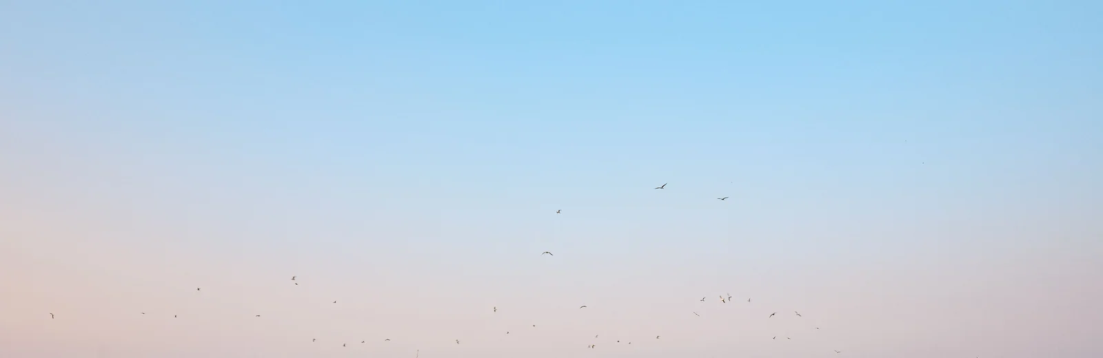 Skyline of Khadikar Galli, Sangli at golden hour