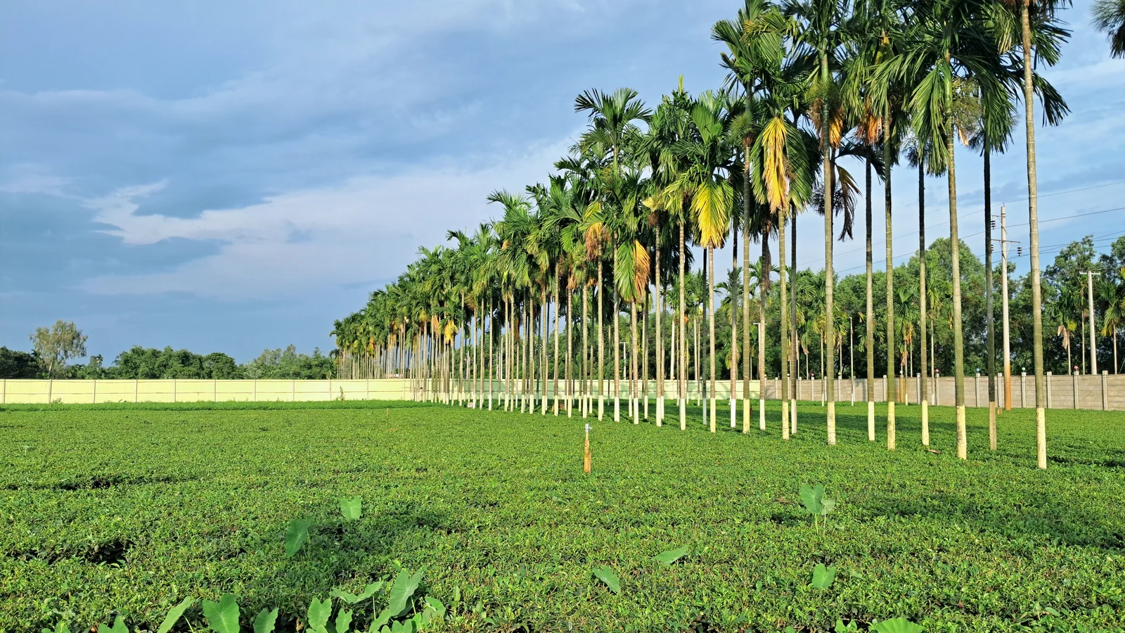 Neighbourhood park in Peth Bhag, Sangli