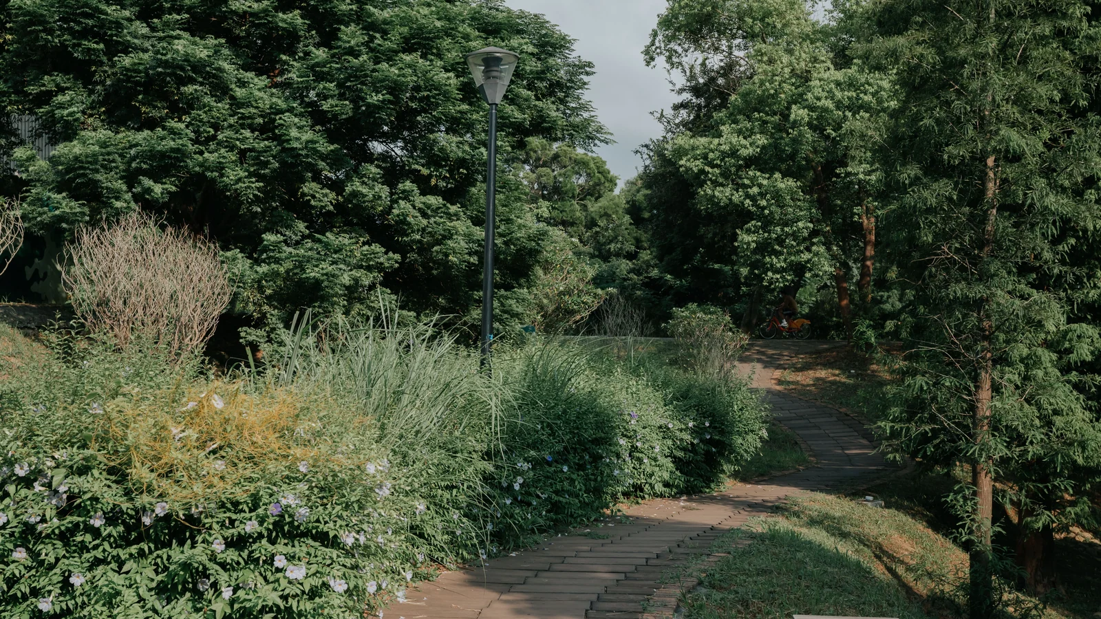 Neighbourhood park in Kavas, Surat