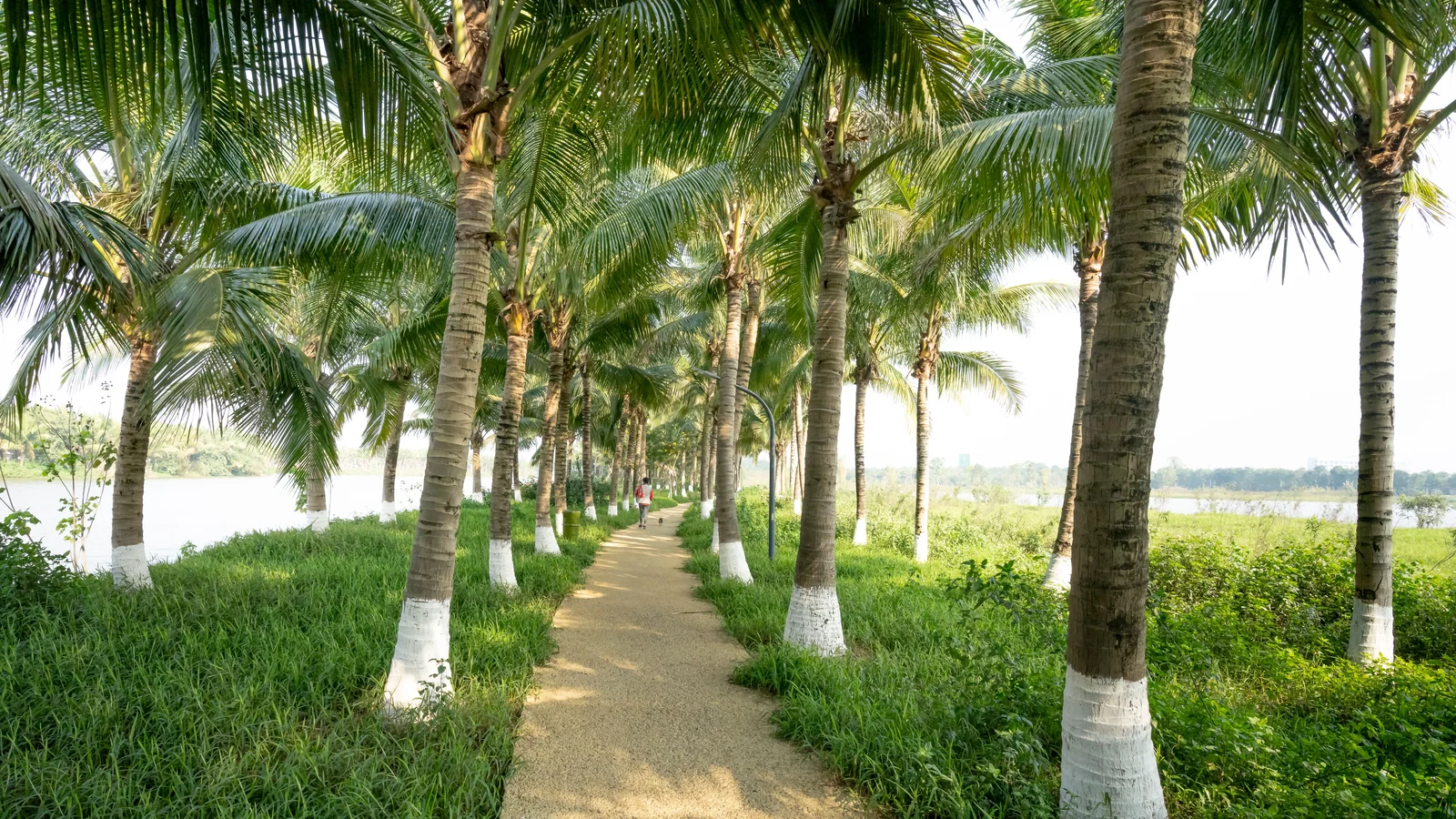 Neighbourhood park in Ghodbunder Road, Thane