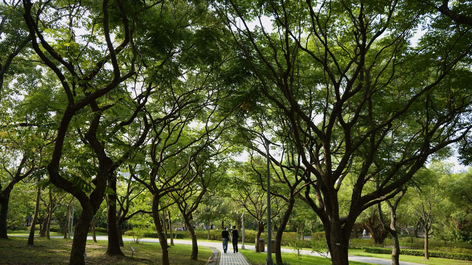 Neighbourhood park in Anmol Nagar, Vadodara