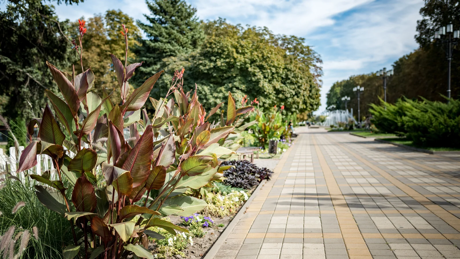 Neighbourhood park in Arbuda Nagar, Vadodara