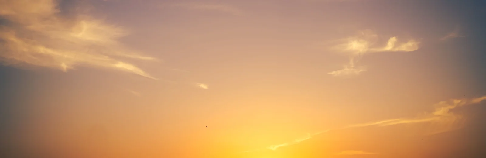 Skyline of Bhayli, Vadodara at golden hour