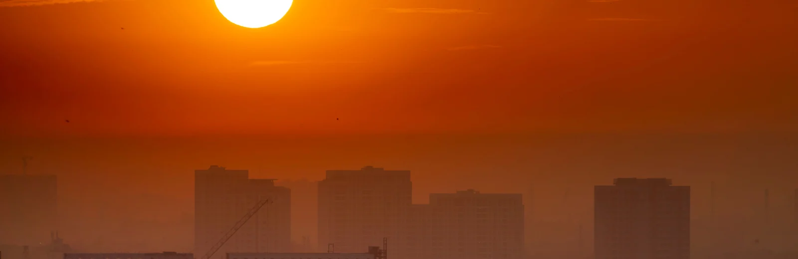 Skyline of Danteshwar, Vadodara at golden hour