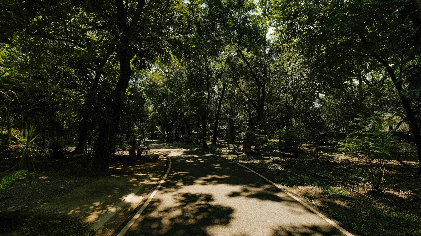 Neighbourhood park in Halol - Vadodara Rd, Vadodara
