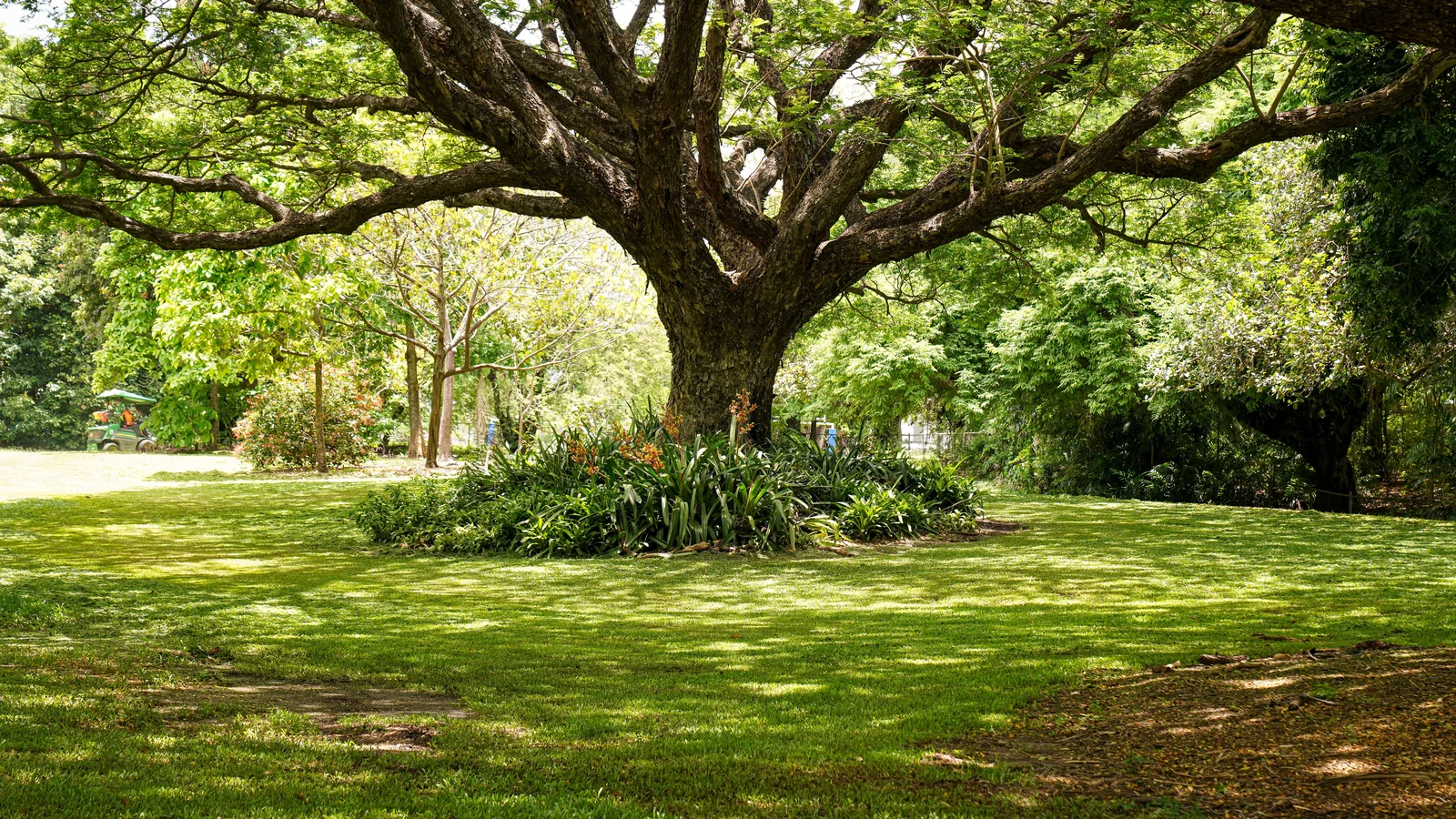 Neighbourhood park in Koyali, Vadodara