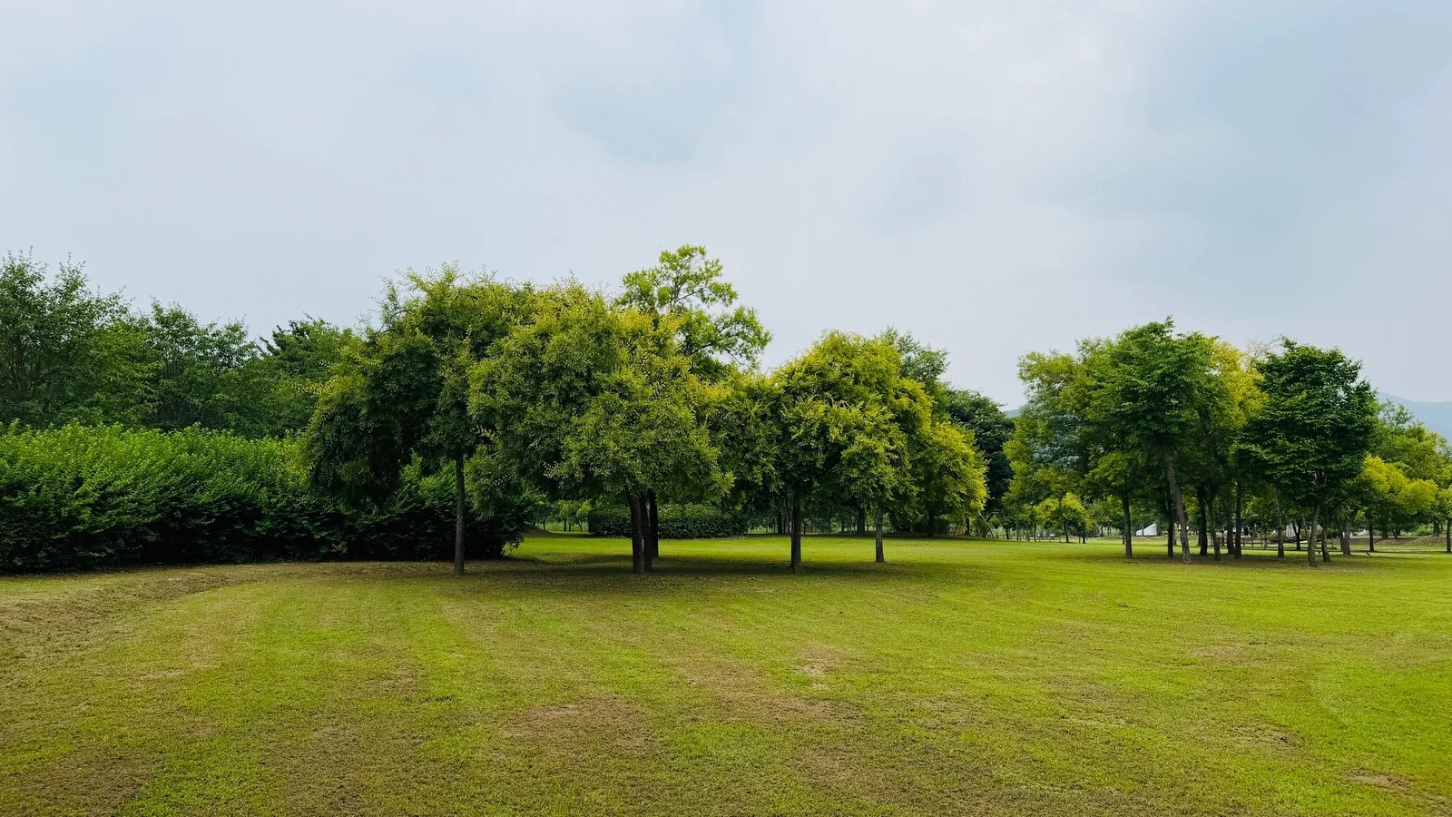 Neighbourhood park in Bharthara, Varanasi