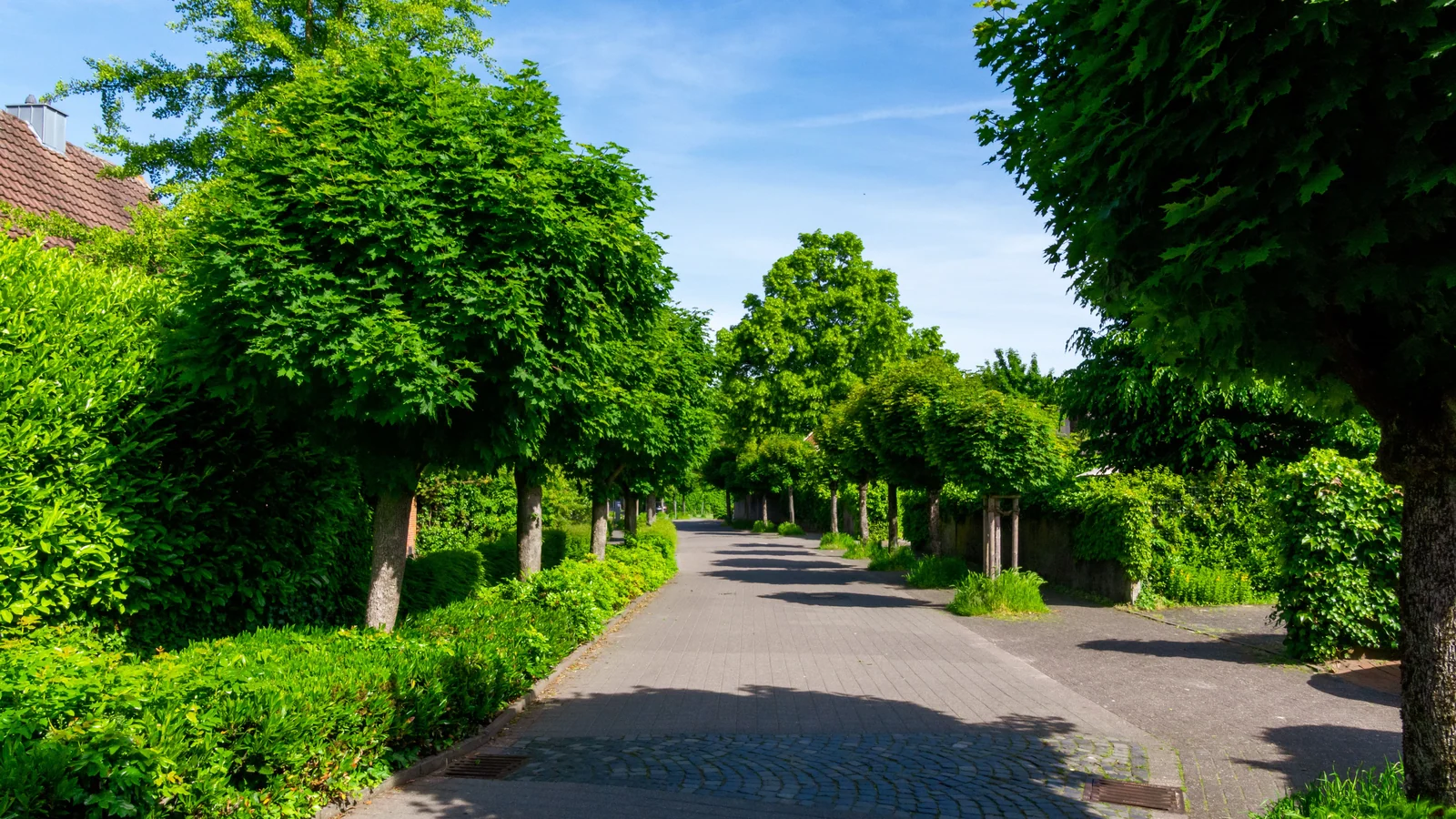 Neighbourhood park in Kakarmata Colony, Varanasi