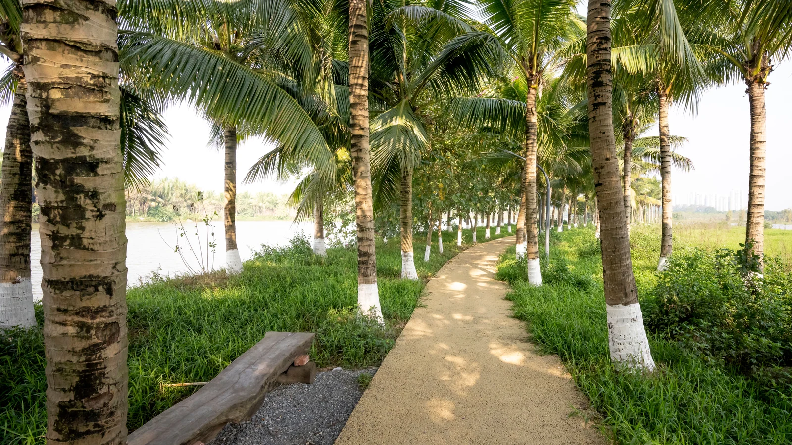 Neighbourhood park in Prathamik, Varanasi