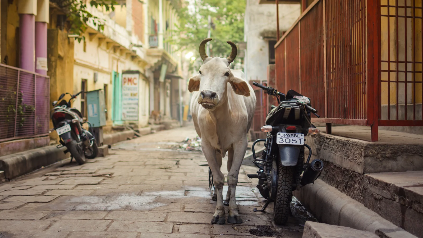 Neighbourhood park in Sigra, Varanasi