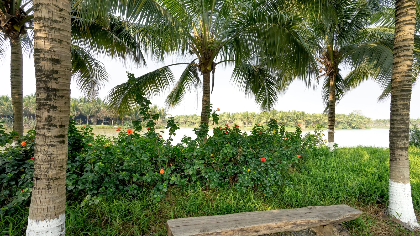 Neighbourhood park in Kankipadu, Vijayawada